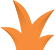 Orange Bush 3